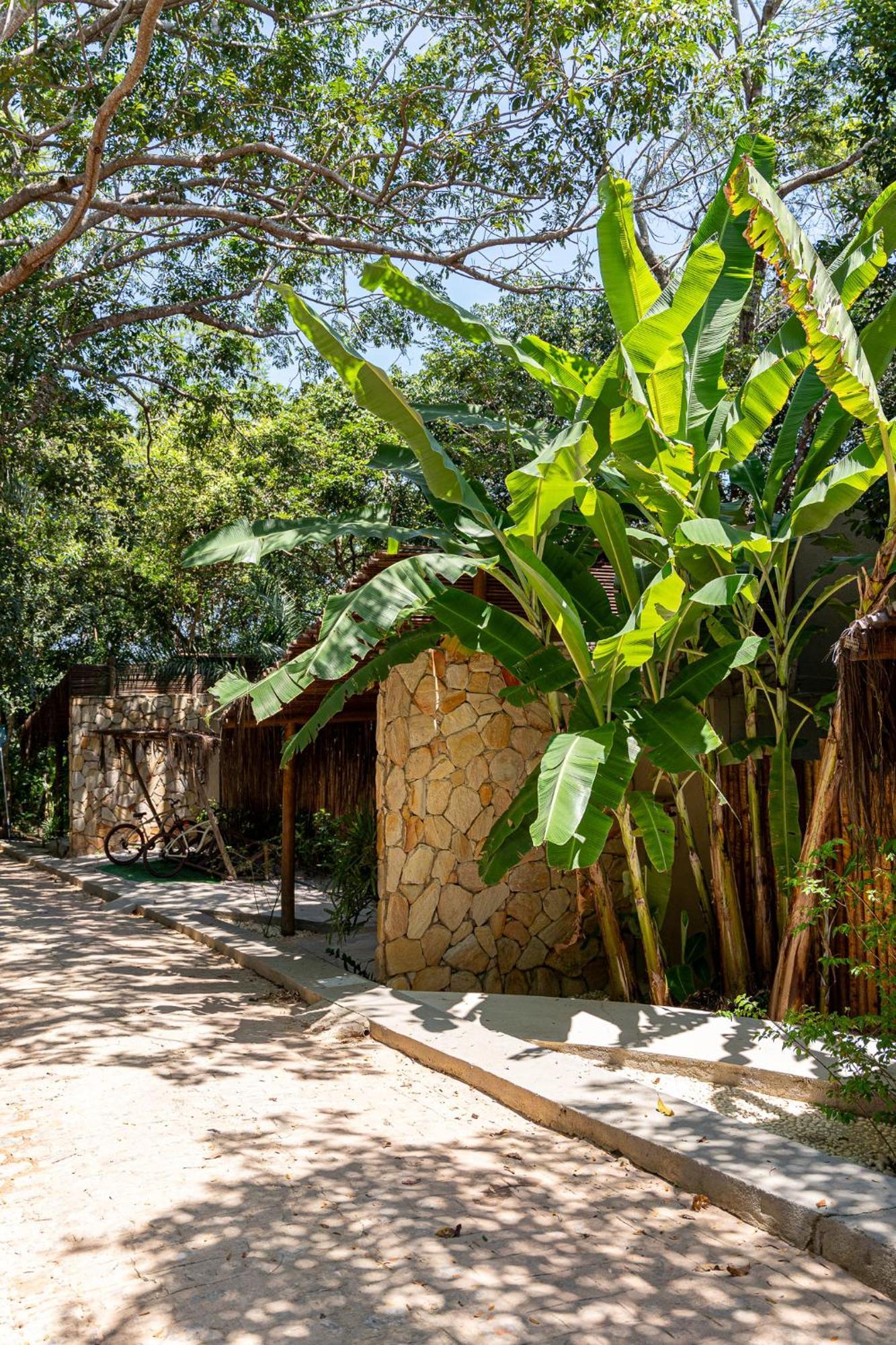 Sitio Villa Da Mata São Miguel dos Milagres Eksteriør billede